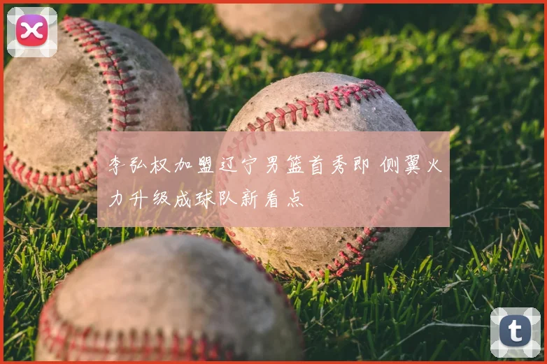 李弘权加盟辽宁男篮首秀即 侧翼火力升级成球队新看点