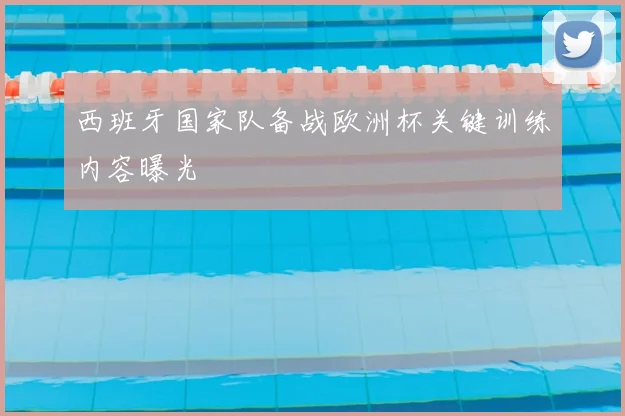 西班牙国家队备战欧洲杯关键训练内容曝光