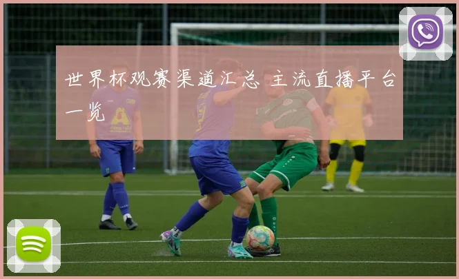 世界杯观赛渠道汇总 主流直播平台一览