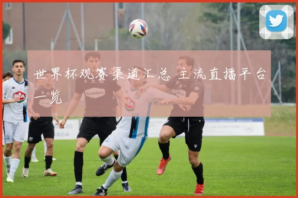 世界杯观赛渠道汇总 主流直播平台一览