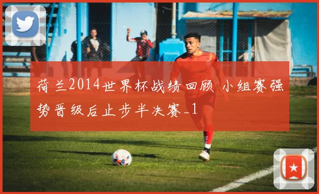 荷兰2014世界杯战绩回顾 小组赛强势晋级后止步半决赛_1