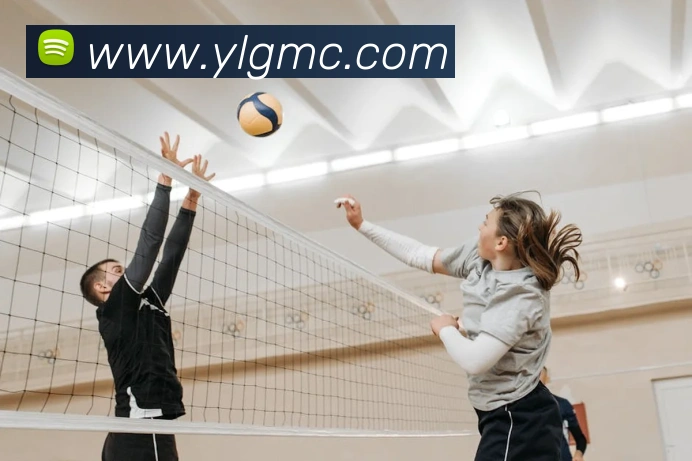 emc易倍全站网页版服务体系