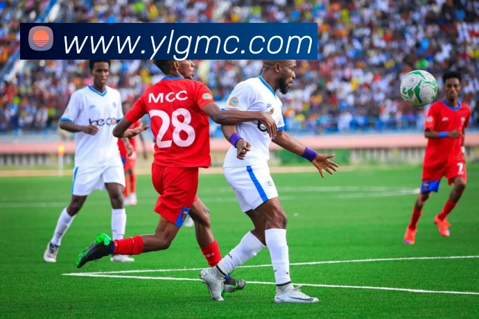 奖项证书
